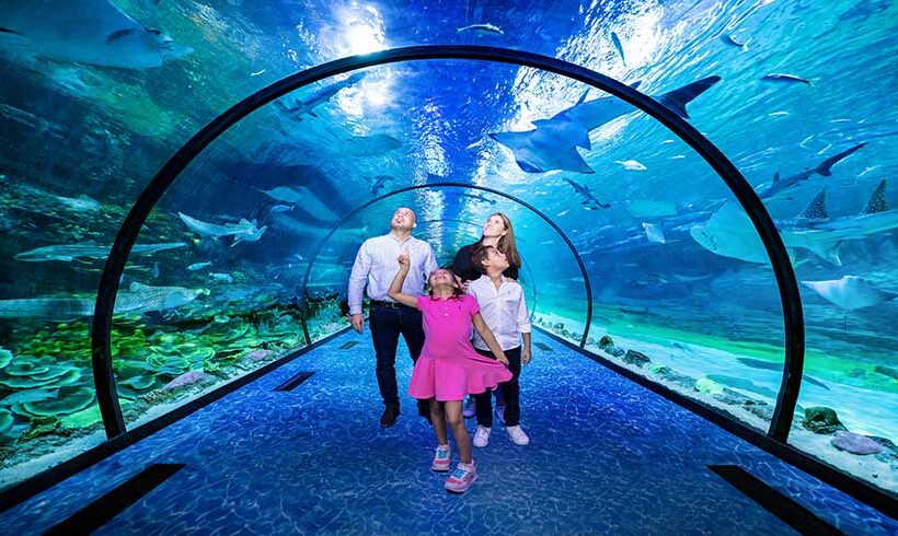 The National Aquarium Abu Dhabi