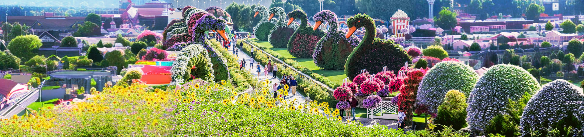 2-Miracle Garden Dubai-godubaideals