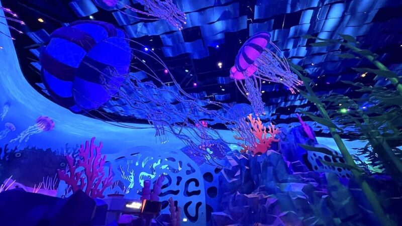 7 Dive Into a World of Wonder at SeaWorld Abu Dhabi-godubaideals